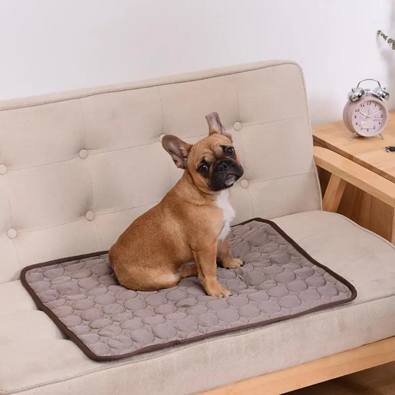 CoolCore Cooling Mat for Dogs & Cats — 6 Sizes