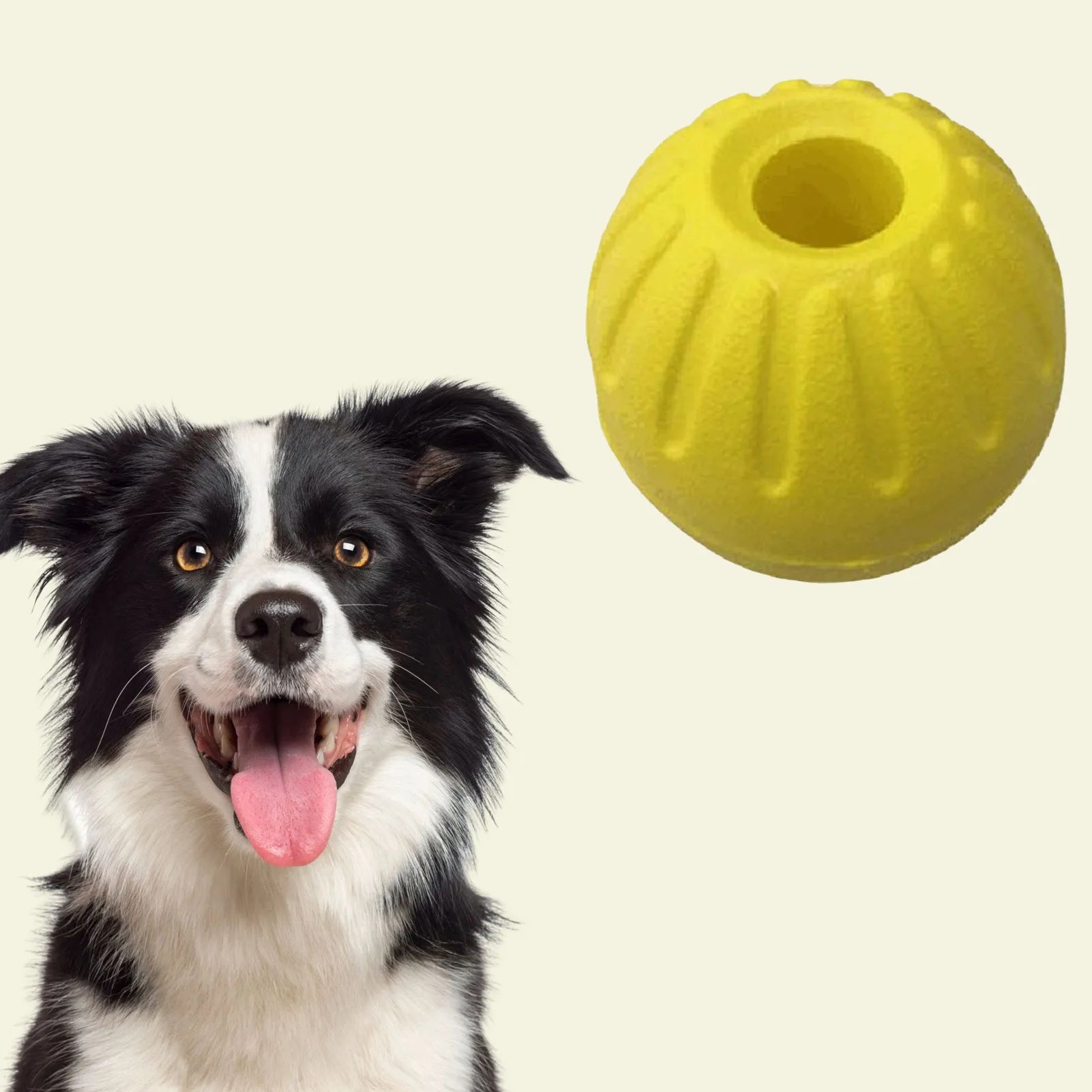 EVA Chew & Fetch Ball — Tooth Cleaning Dog Toy