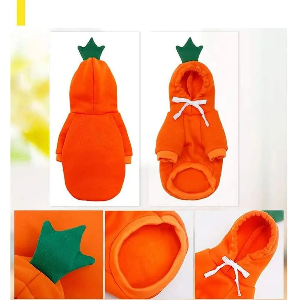 Fruit Costume Hoodie for Dogs & Cats