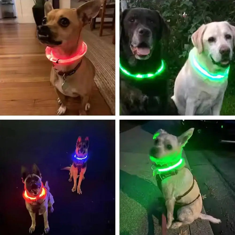 USB Rechargeable LED Dog Safety Collar
