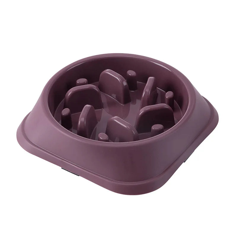 Slow Feeder Bowl for Cats & Dogs