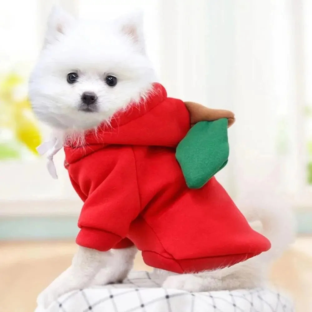 Fruit Costume Hoodie for Dogs & Cats