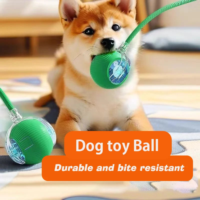 Automatic Rolling Interactive Ball Toy for Dogs