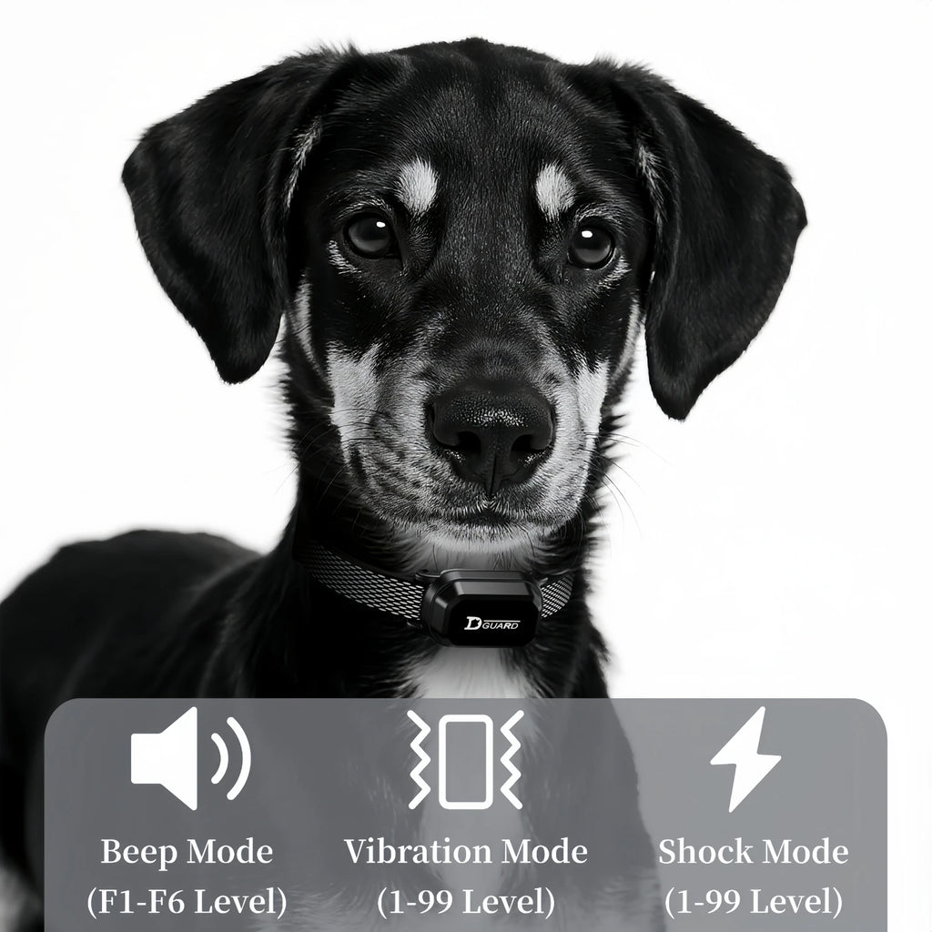 Electric Dog Training Collar — 3300FT Remote, Waterproof