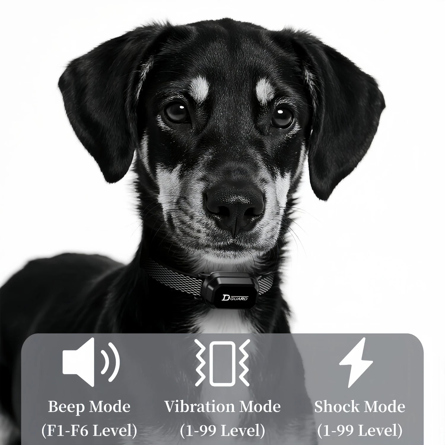 Electric Dog Training Collar — 3300FT Remote, Waterproof