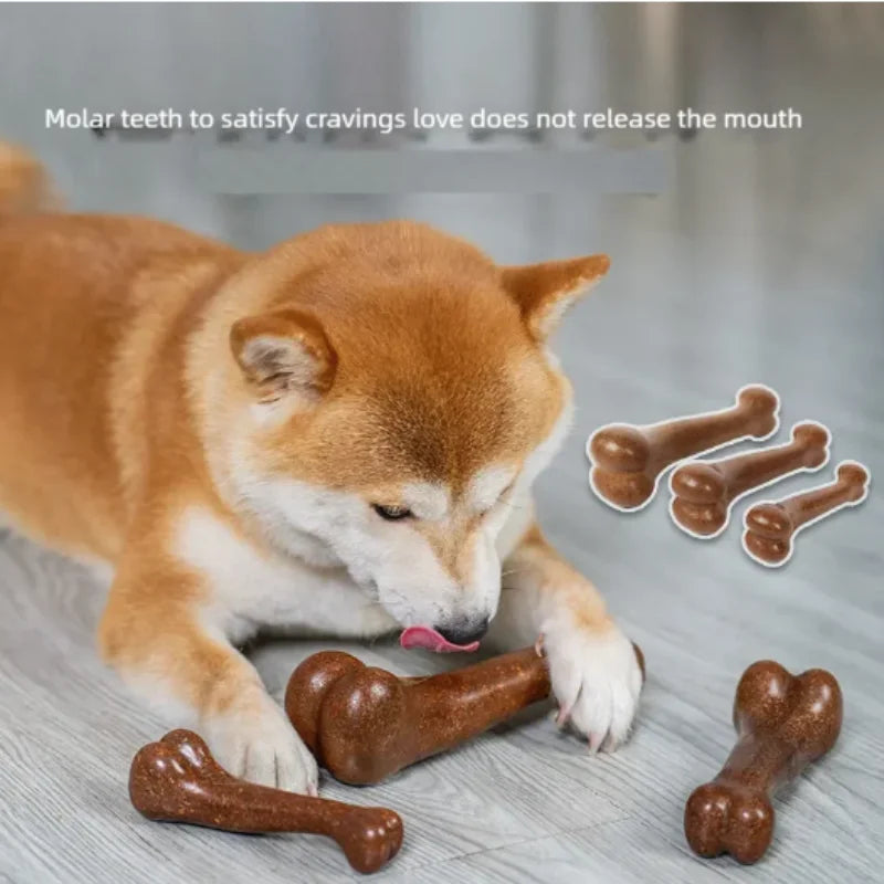 Natural Dog Bone Chew Toy — Nearly Indestructible
