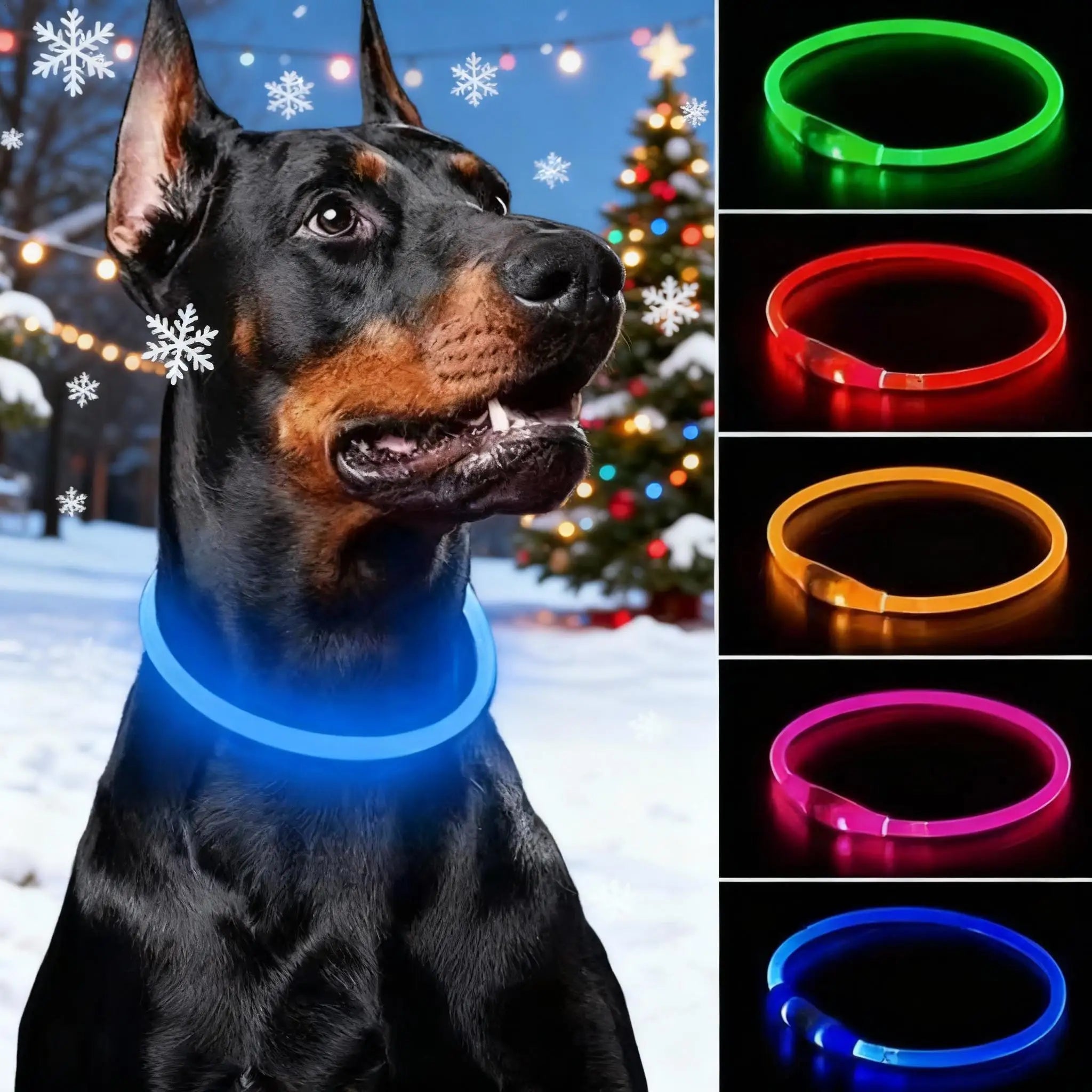 USB Rechargeable LED Dog Safety Collar