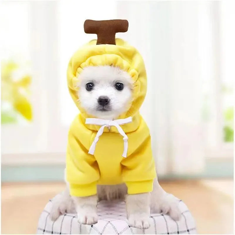 Fruit Costume Hoodie for Dogs & Cats