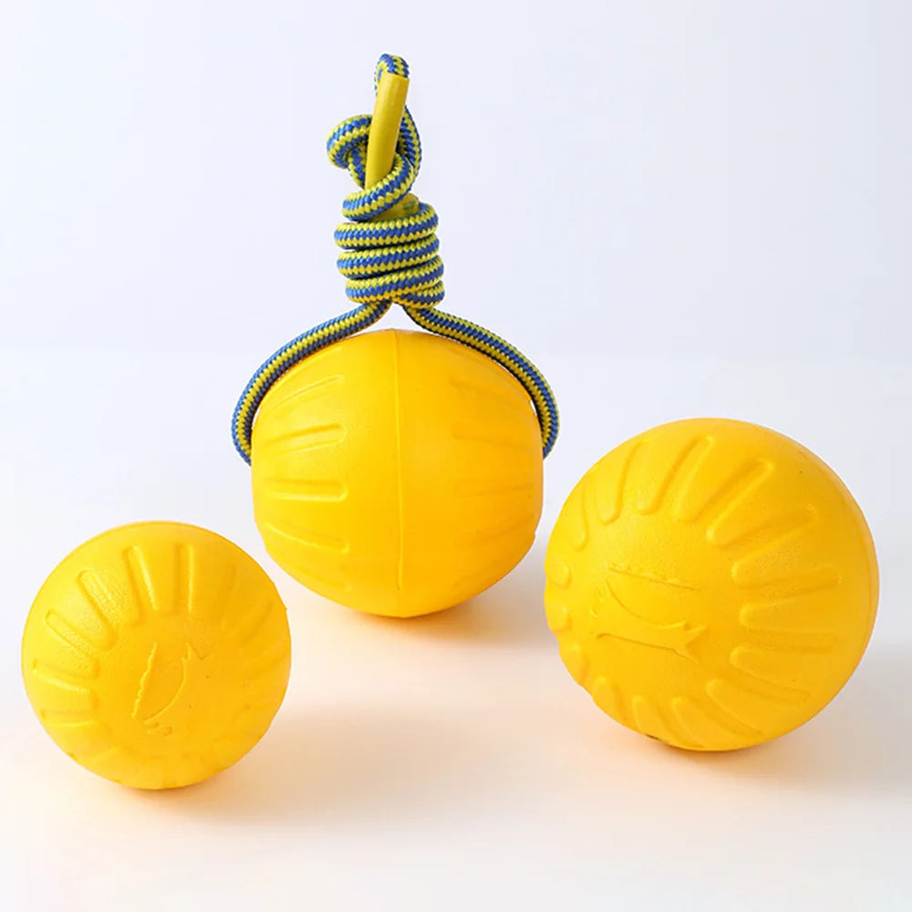 EVA Chew & Fetch Ball — Tooth Cleaning Dog Toy