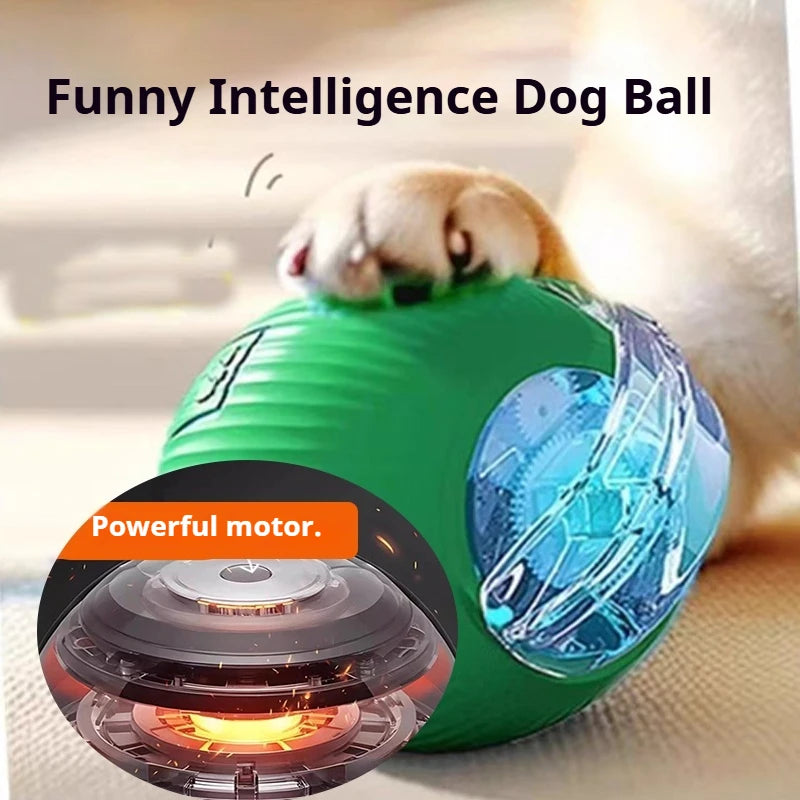 Automatic Rolling Interactive Ball Toy for Dogs