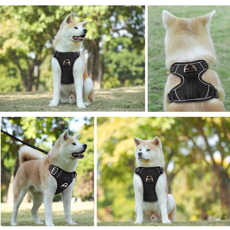 Benepaw No-Pull Dog Harness — Soft Padded Vest with Dual Leash Clips