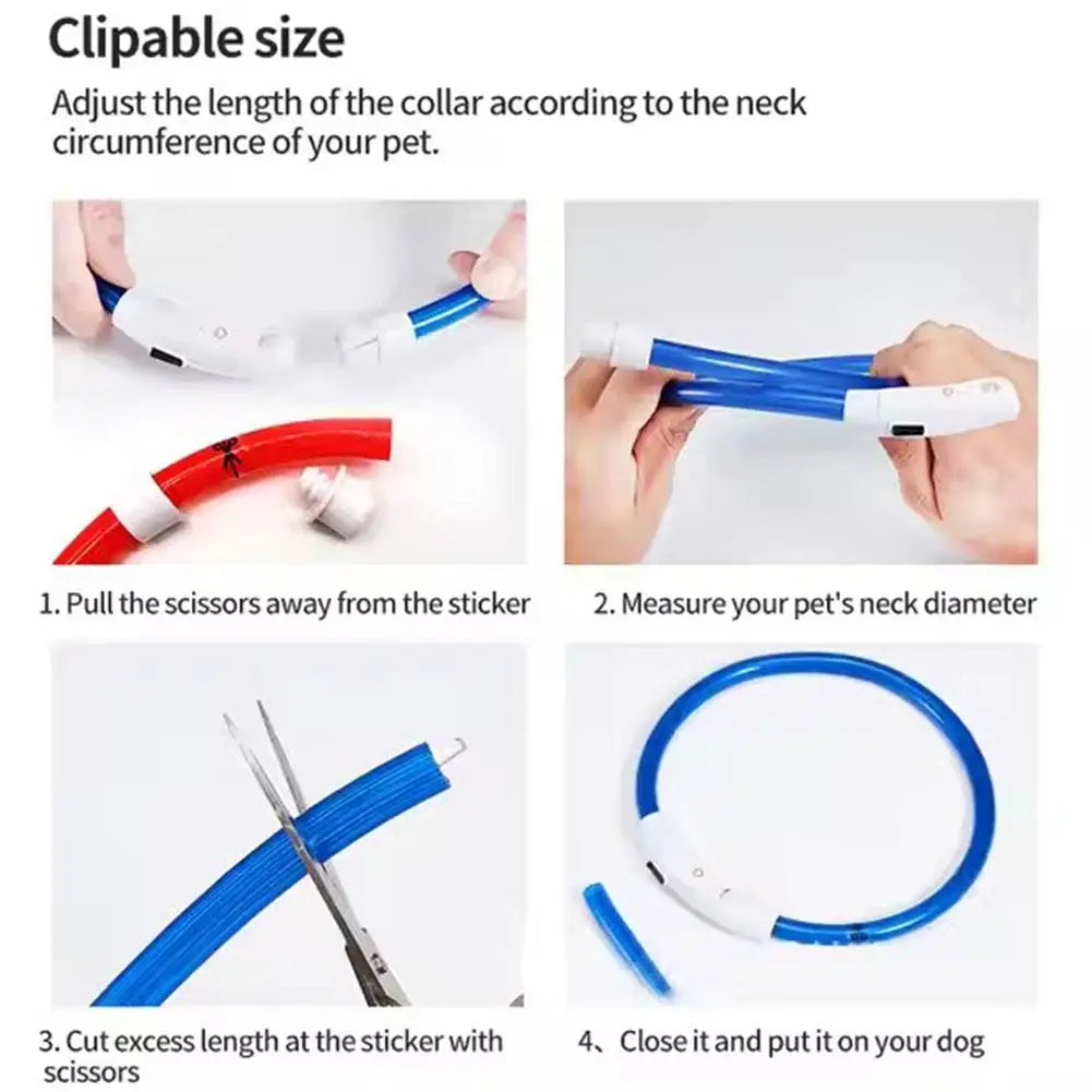 USB Rechargeable LED Dog Safety Collar