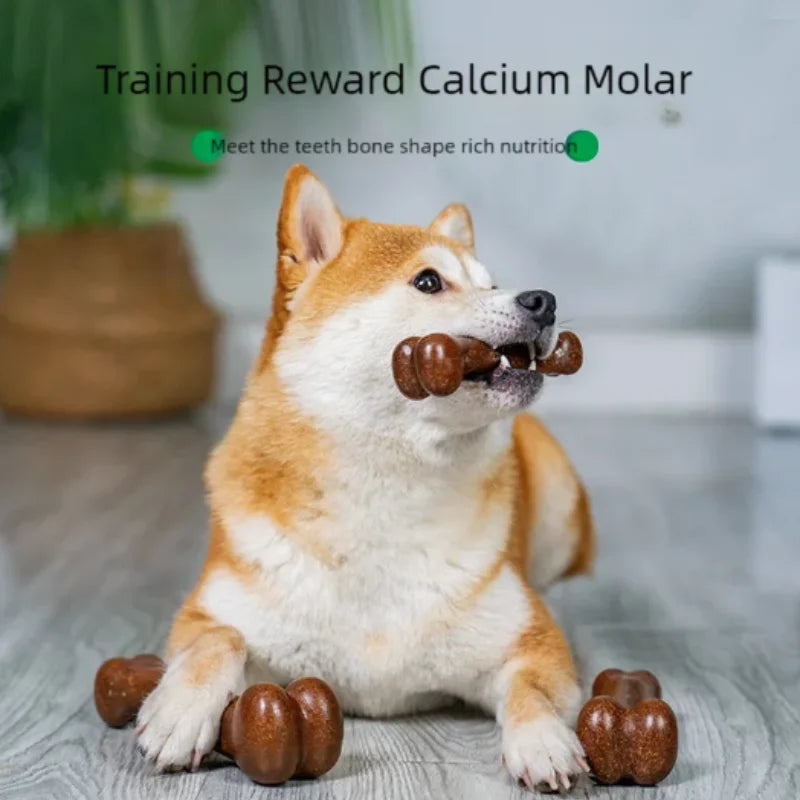 Natural Dog Bone Chew Toy — Nearly Indestructible