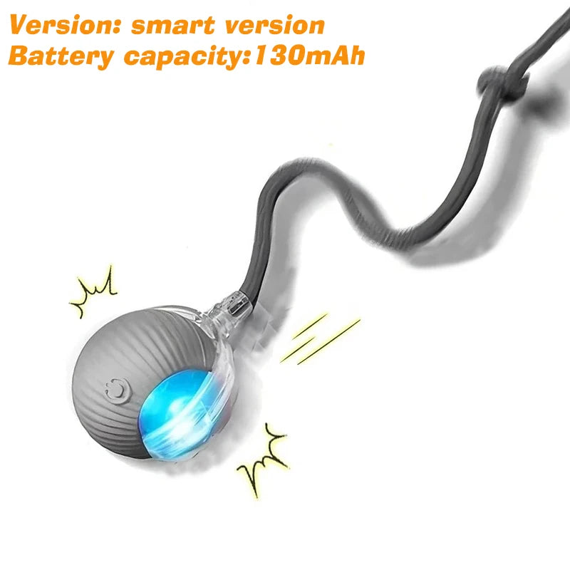 Automatic Rolling Interactive Ball Toy for Dogs