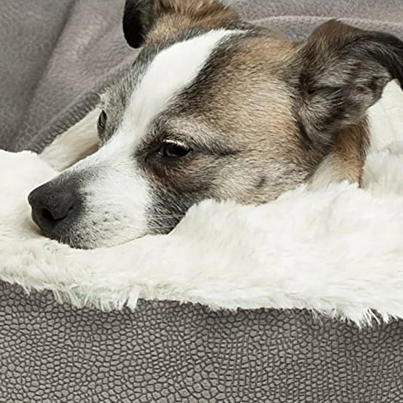 Orthopedic Winter Pet Bed — Warm Bolster Cushion for Dogs & Cats