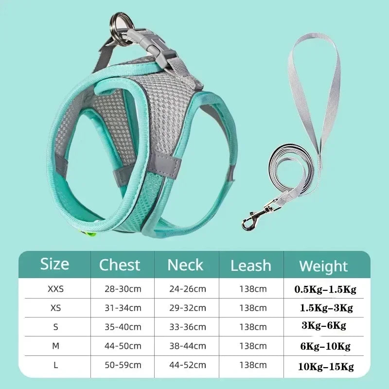 Soft Mesh Dog Vest Harness — Adjustable for Small Dogs & Cats
