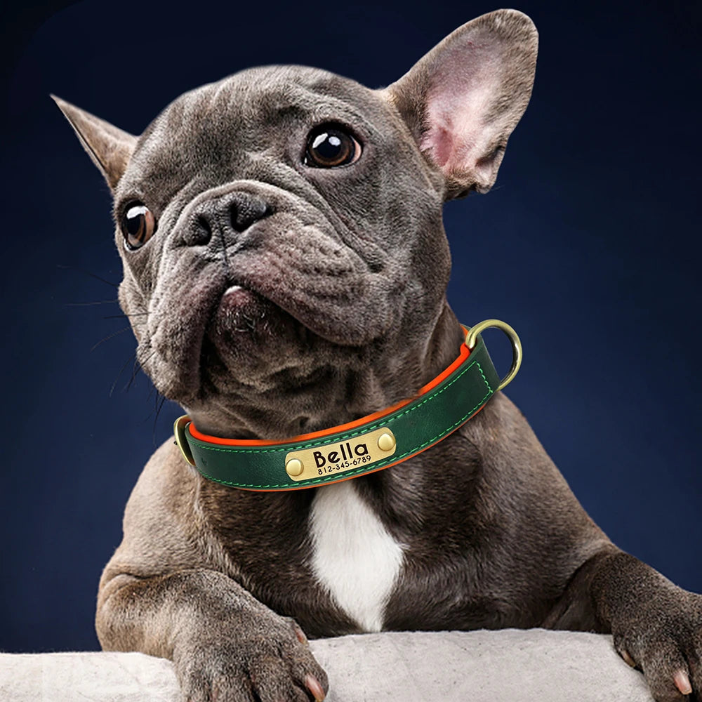 Personalised PU Leather Dog Collar — Free Name Engraving