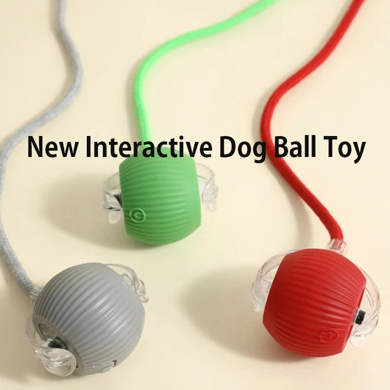 Automatic Rolling Interactive Ball Toy for Dogs