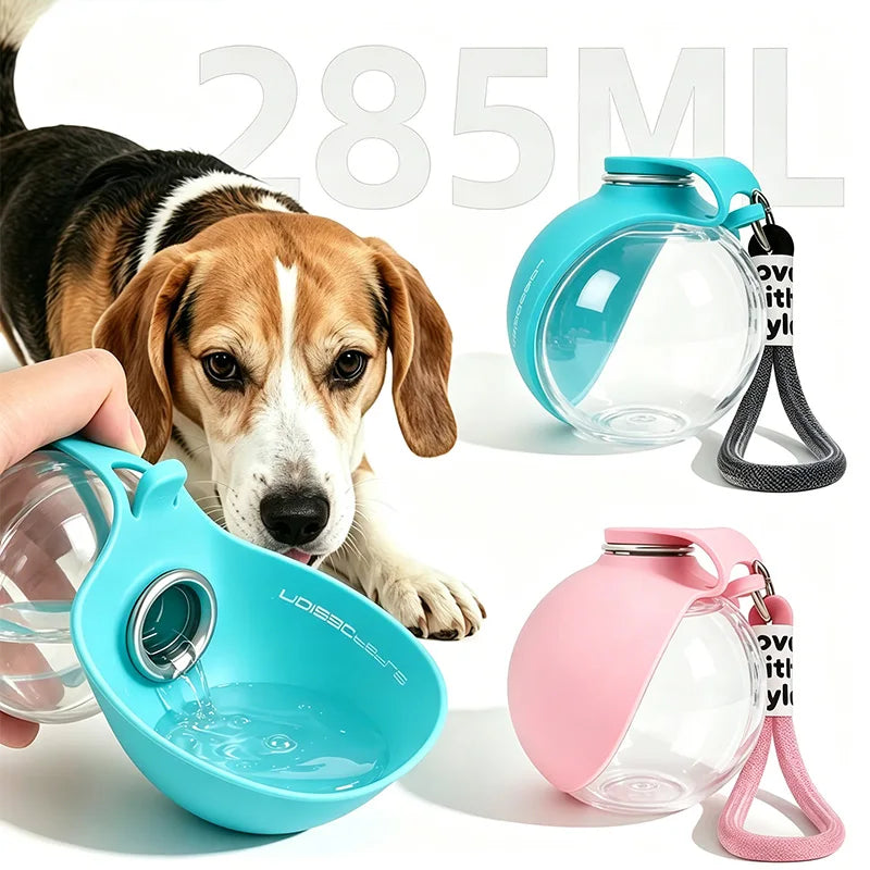 2-in-1 Portable Dog Water Bottle with Foldable Bowl