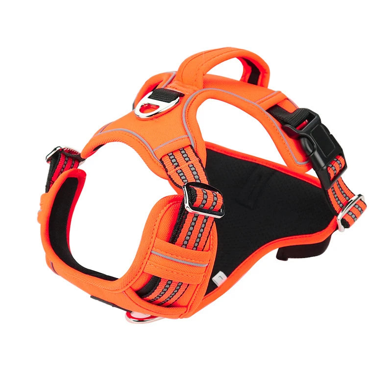Benepaw No-Pull Dog Harness — Soft Padded Vest with Dual Leash Clips