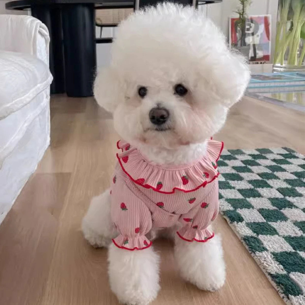 Strawberry Summer Clothes For Dogs/Cats