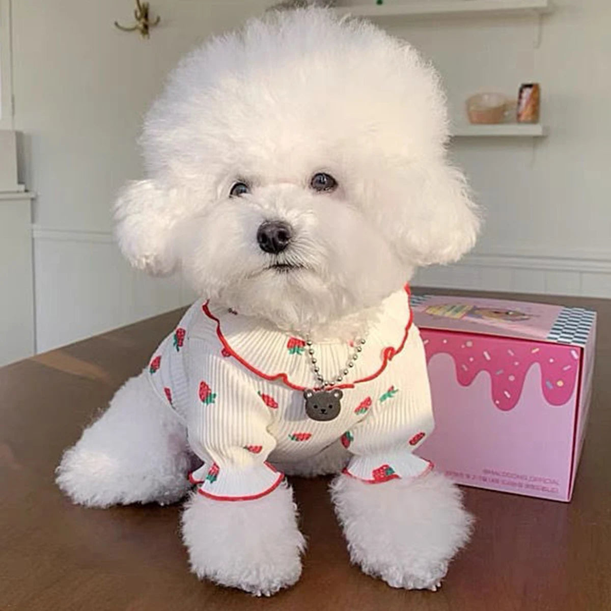 Strawberry Summer Clothes For Dogs/Cats