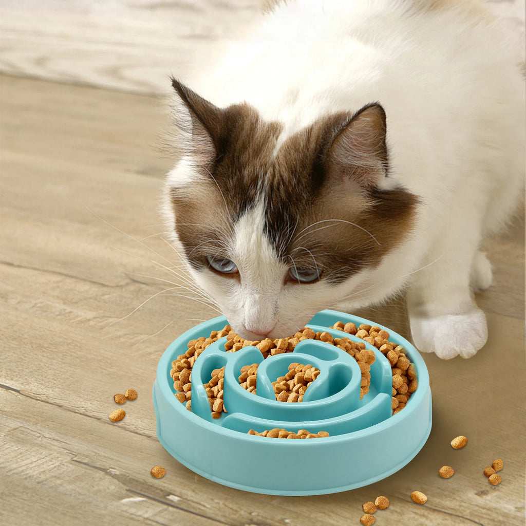 Slow Feeder Bowl — Bloat-Reducing Maze