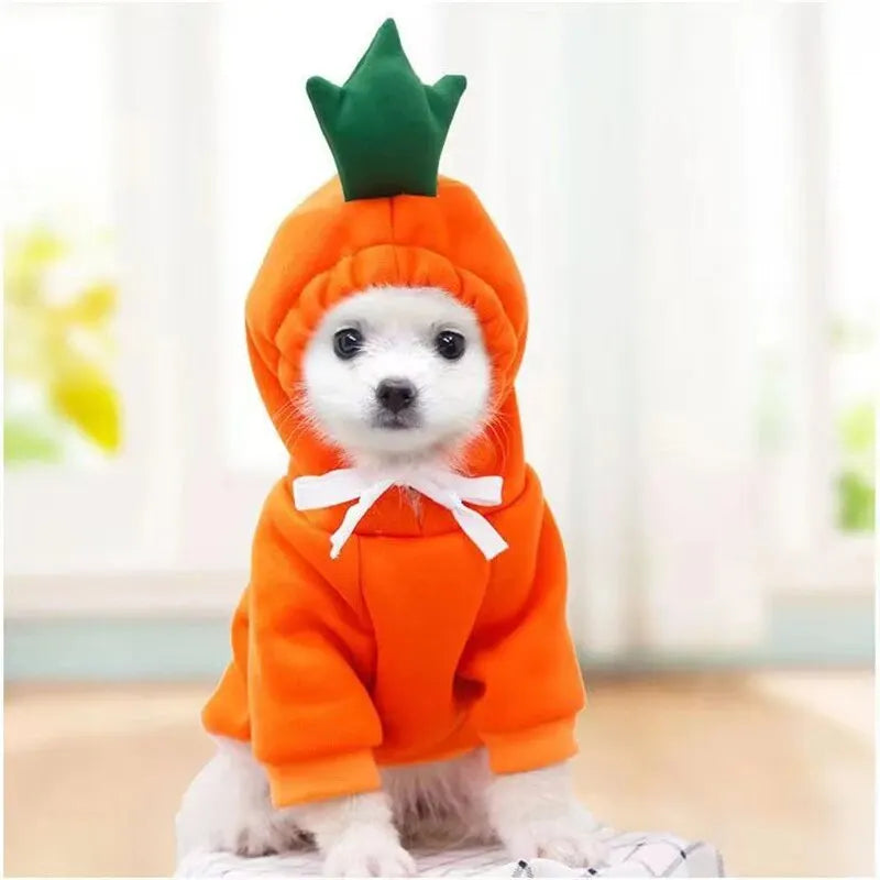 Fruit Costume Hoodie for Dogs & Cats