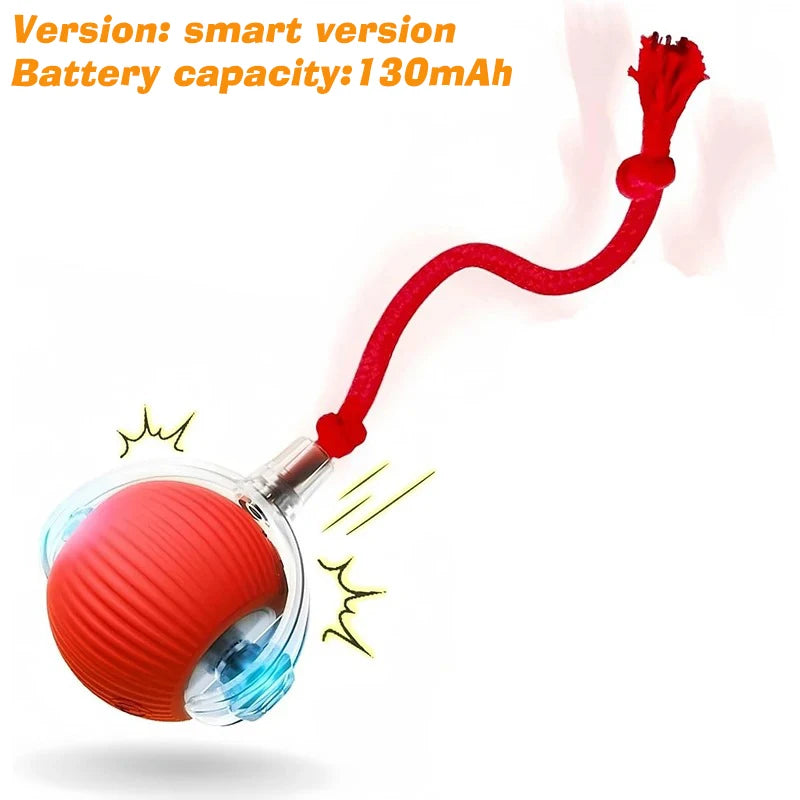 Automatic Rolling Interactive Ball Toy for Dogs