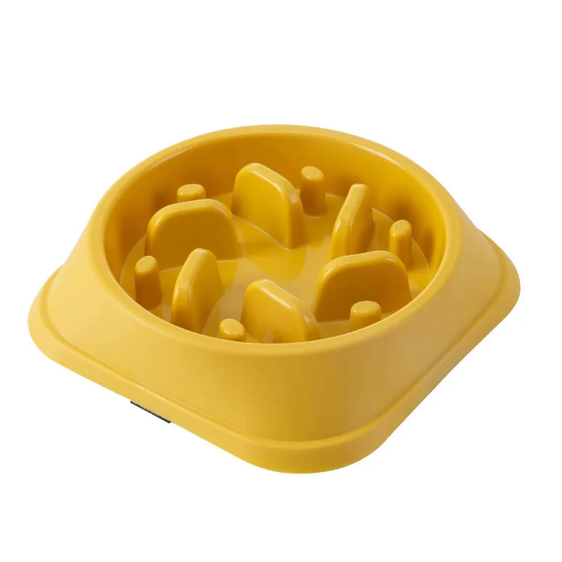Slow Feeder Bowl for Cats & Dogs