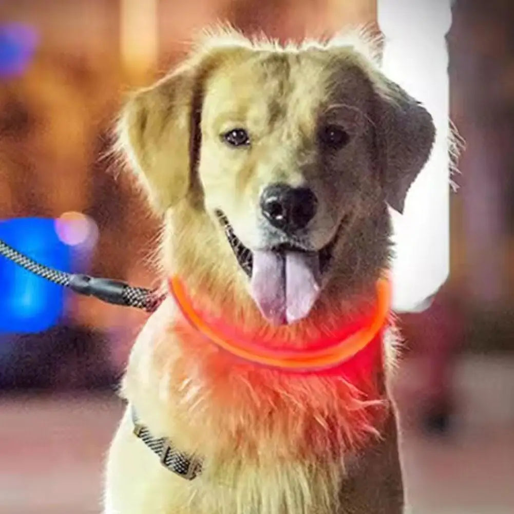 USB Rechargeable LED Dog Safety Collar