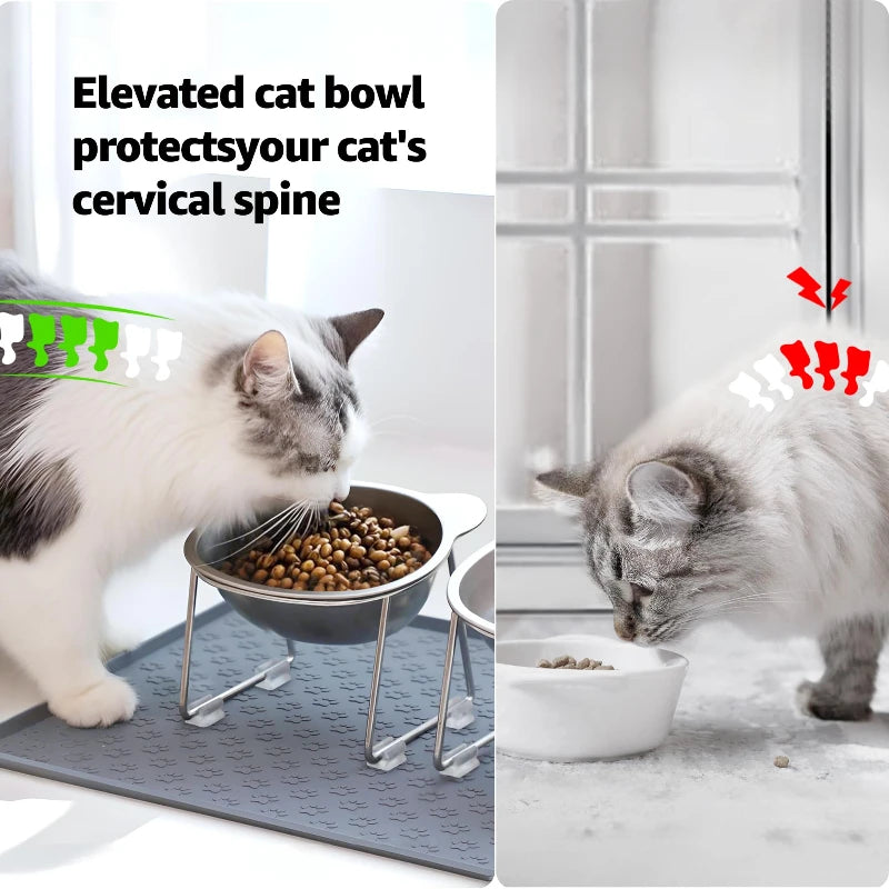 15° Elevated Stainless Steel Cat Bowl — Neck-Relief Design