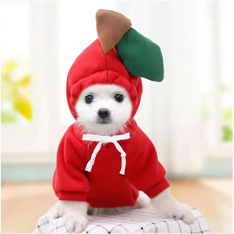Fruit Costume Hoodie for Dogs & Cats