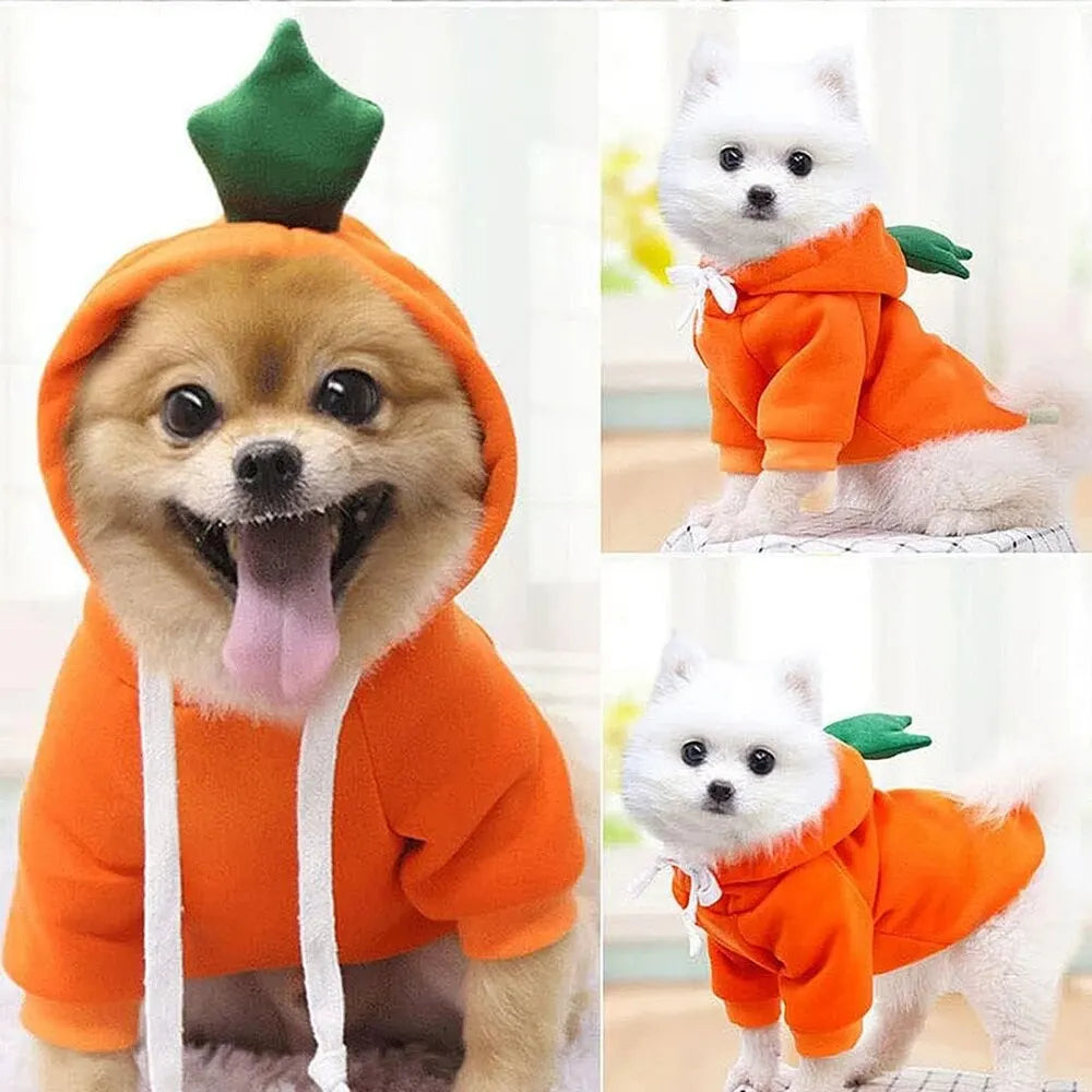 Fruit Costume Hoodie for Dogs & Cats