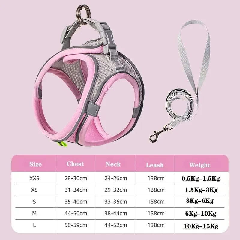 Soft Mesh Dog Vest Harness — Adjustable for Small Dogs & Cats