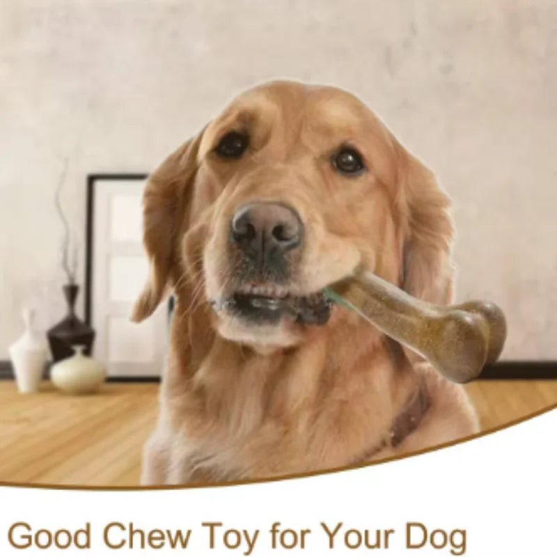 Natural Dog Bone Chew Toy — Nearly Indestructible