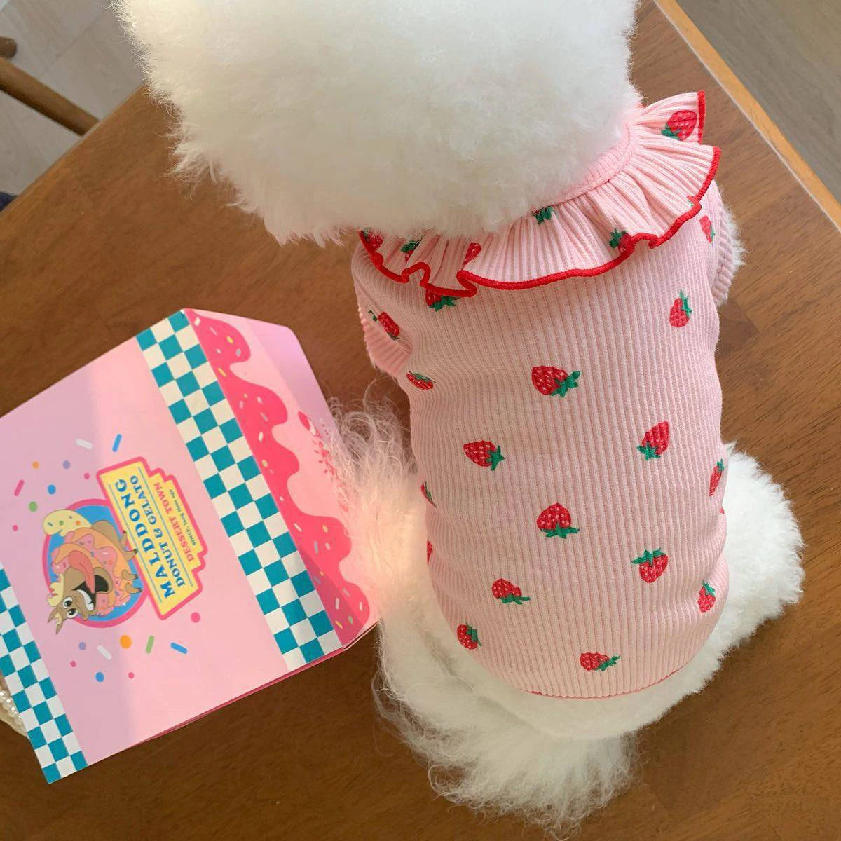 Strawberry Summer Clothes For Dogs/Cats