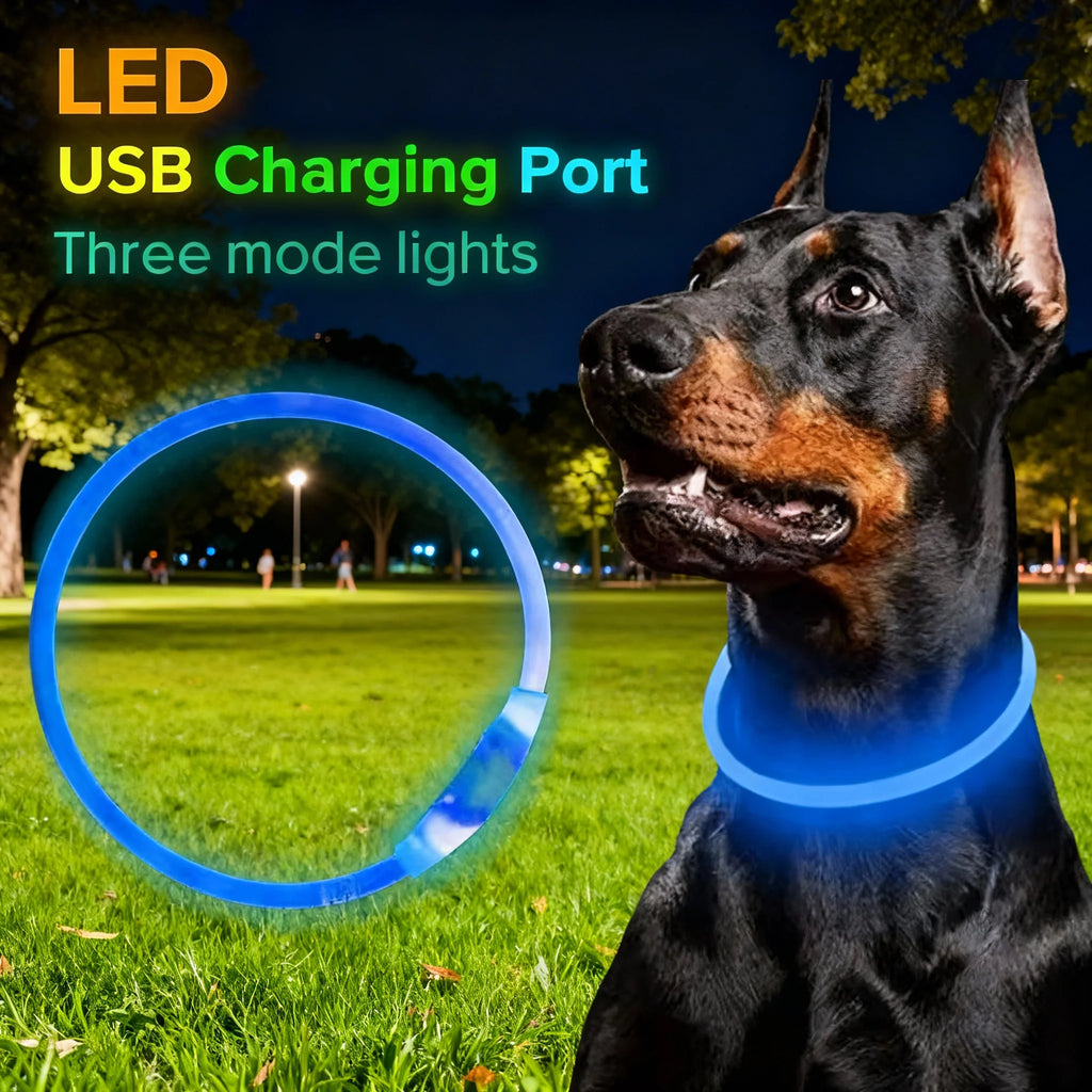 USB Rechargeable LED Dog Safety Collar