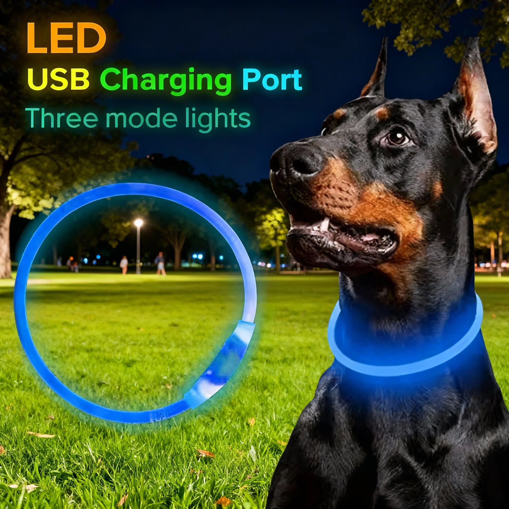 USB Rechargeable LED Dog Safety Collar
