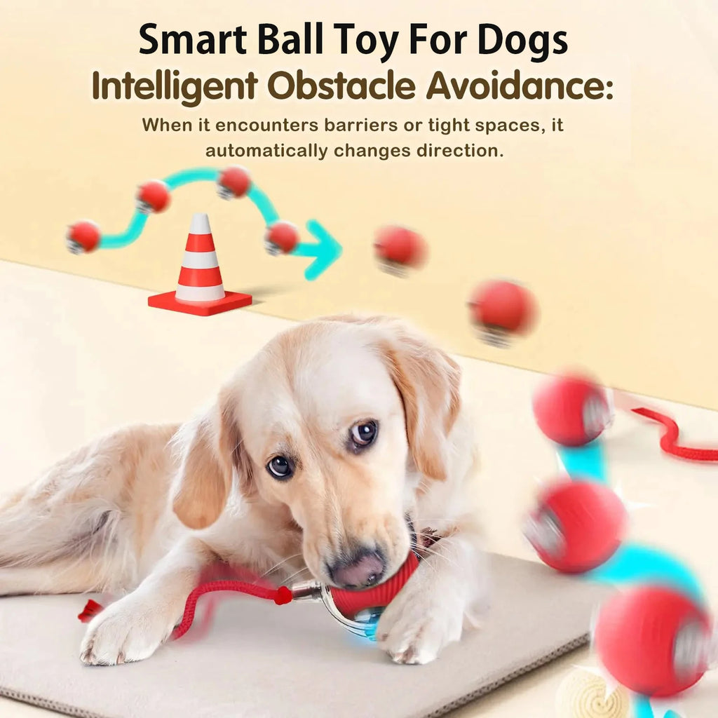 Automatic Rolling Interactive Ball Toy for Dogs