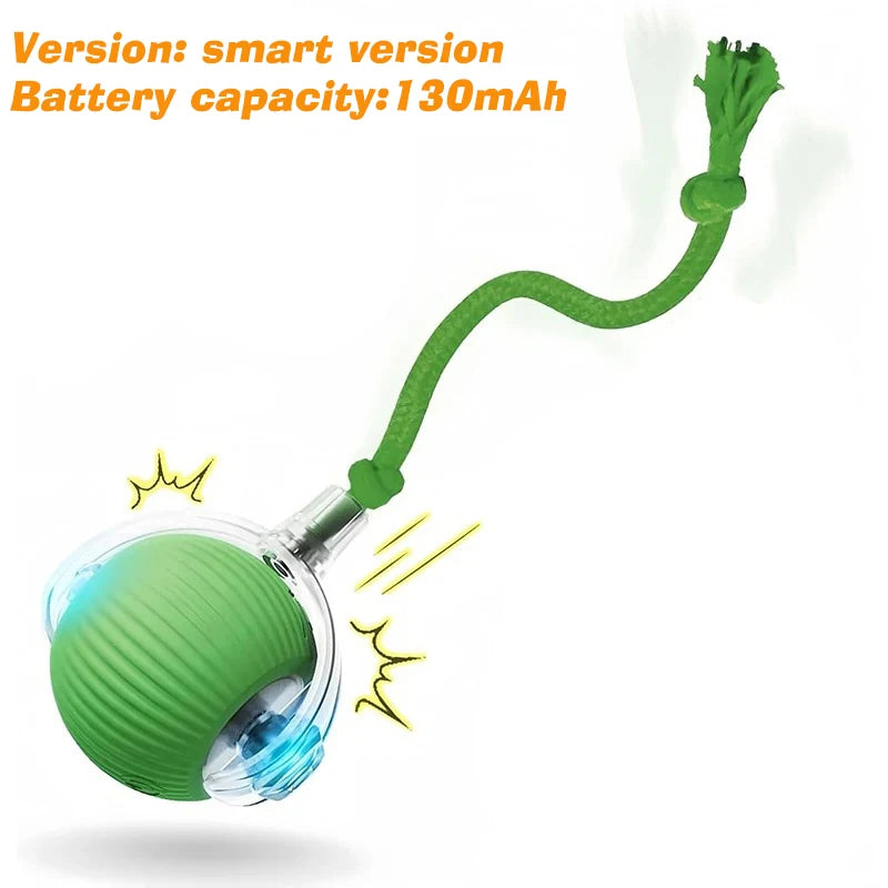 Automatic Rolling Interactive Ball Toy for Dogs