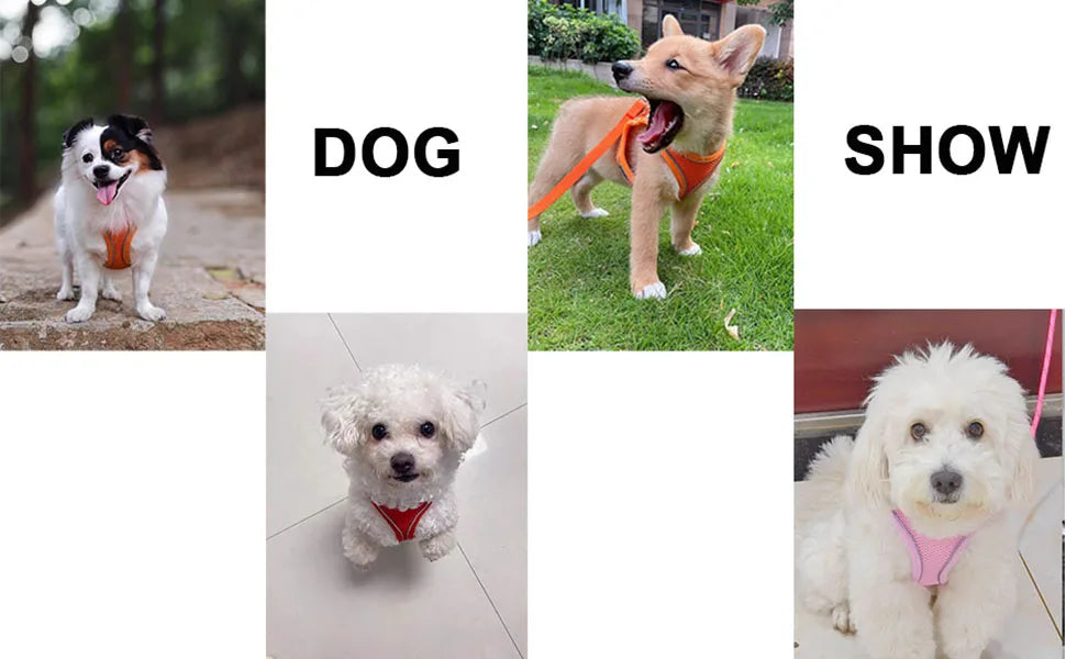 Soft Mesh Dog Vest Harness — Adjustable for Small Dogs & Cats