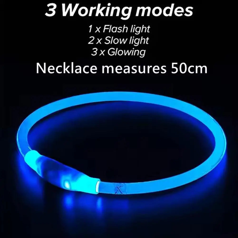USB Rechargeable LED Dog Safety Collar