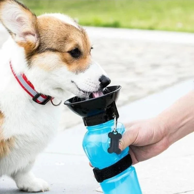 500ml Squeeze Water Bottle for Dogs & Cats