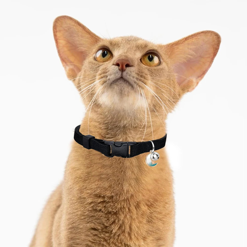 Cat/Puppy Elastic And Stretchable Collar