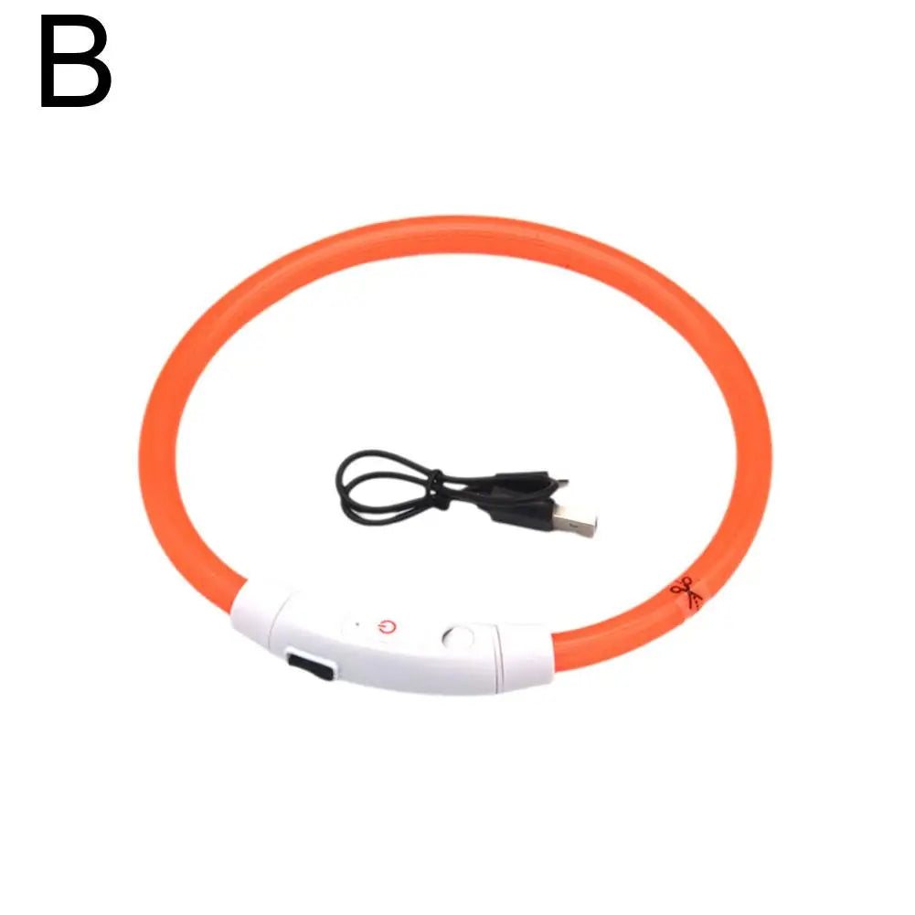 USB Rechargeable LED Dog Safety Collar