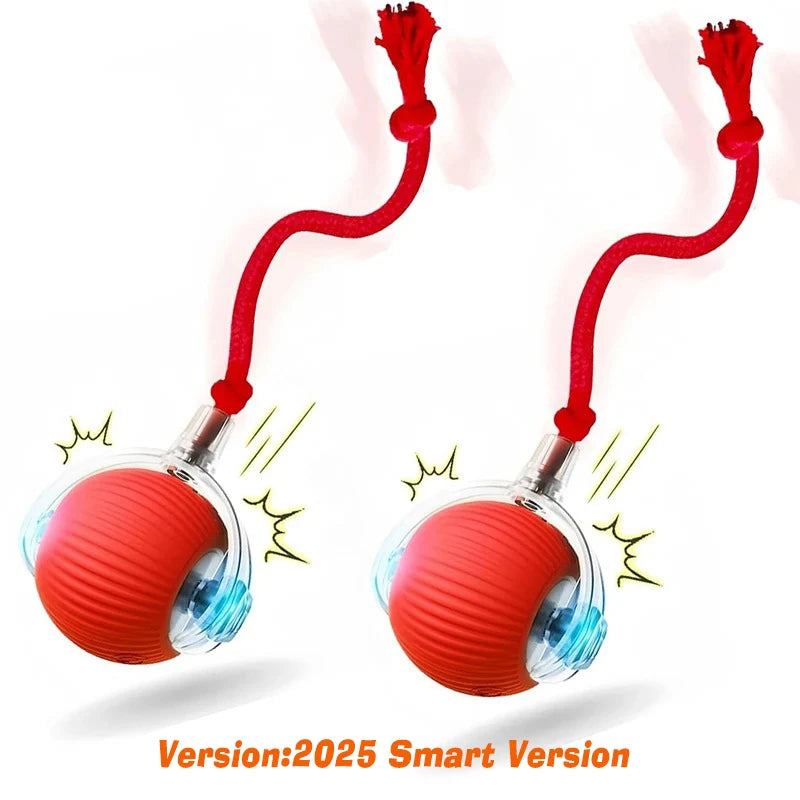 Automatic Rolling Interactive Ball Toy for Dogs
